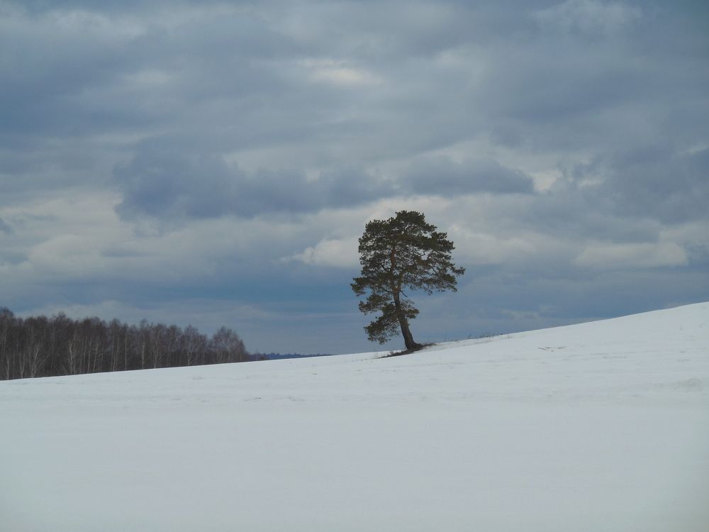 Photograph by Светлана Батурова