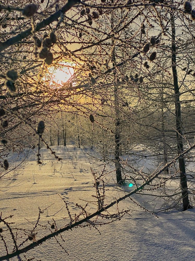 Photograph by Тыченок