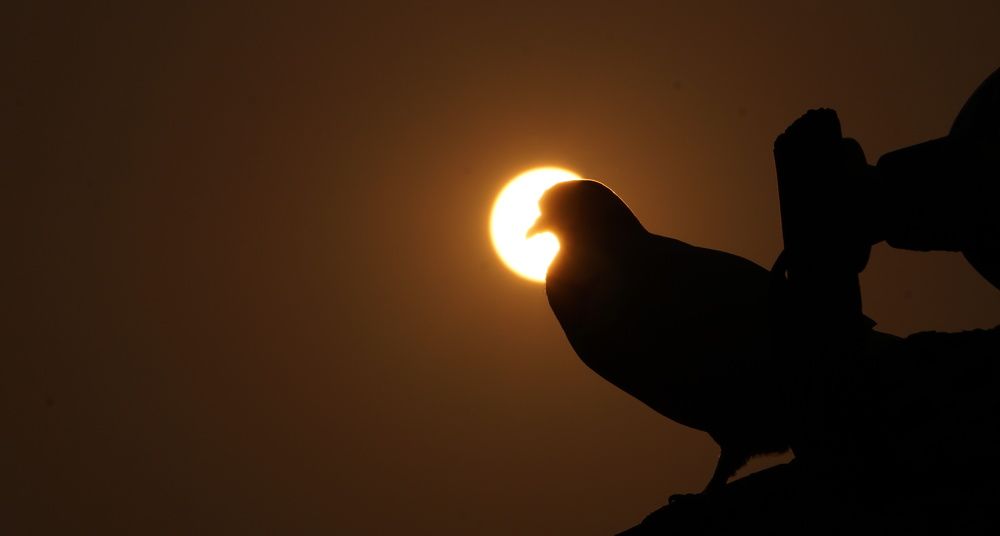 Photograph by Prabhu Viswanathan