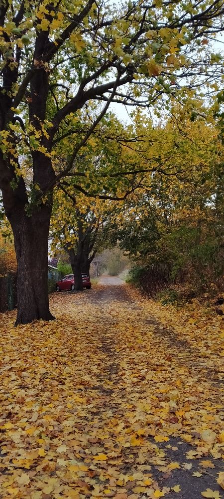 Photograph by Chinara