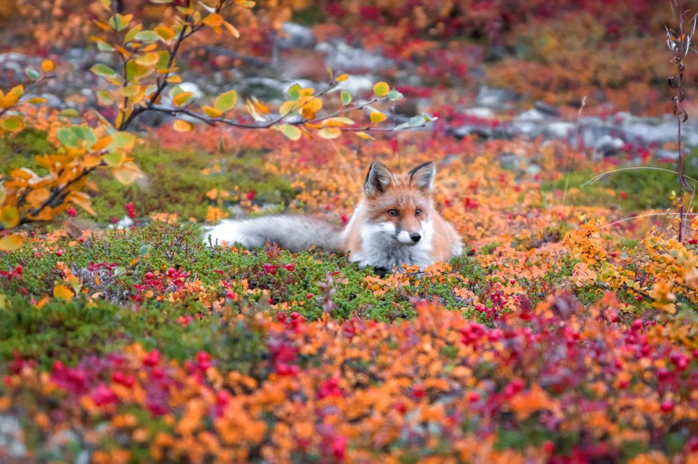 Photograph by Наталья Ермохина