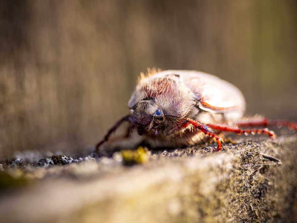 Photograph by Pavel Lukyanov