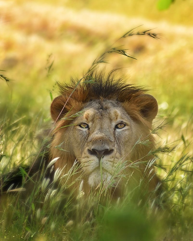 Photograph by ronak vora