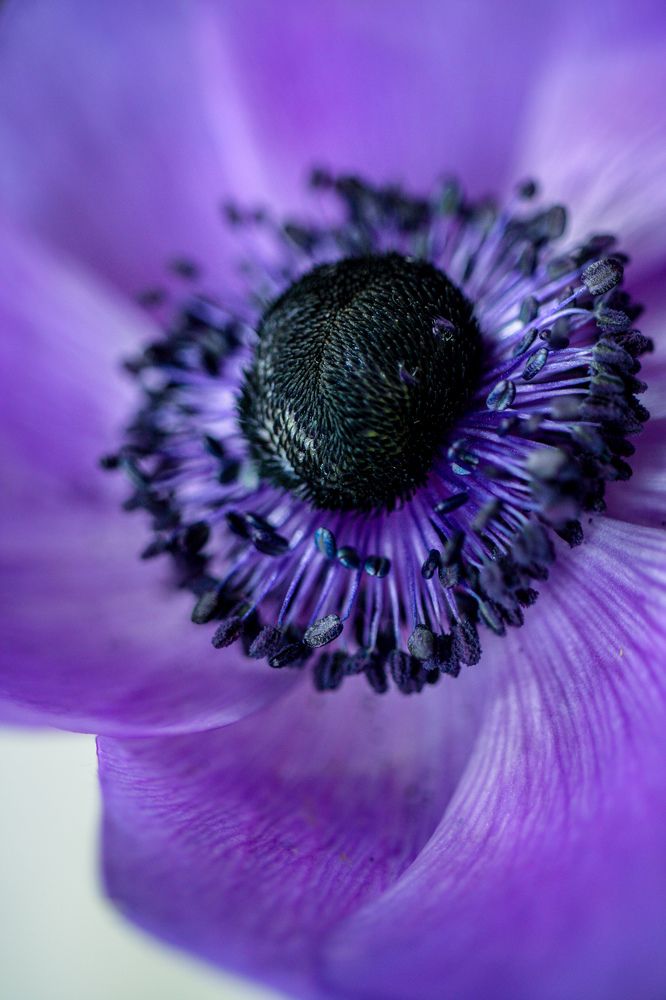 Photograph by Alena Rybakova