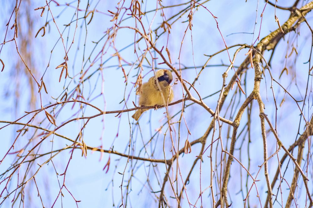 Photograph by Сергей Морозов