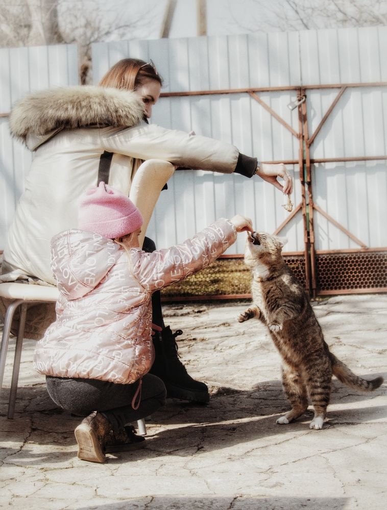 Photograph by Алексей Кроль