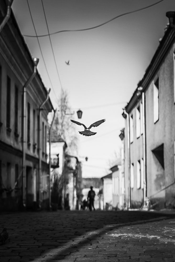 Photograph by Eivind Khagen