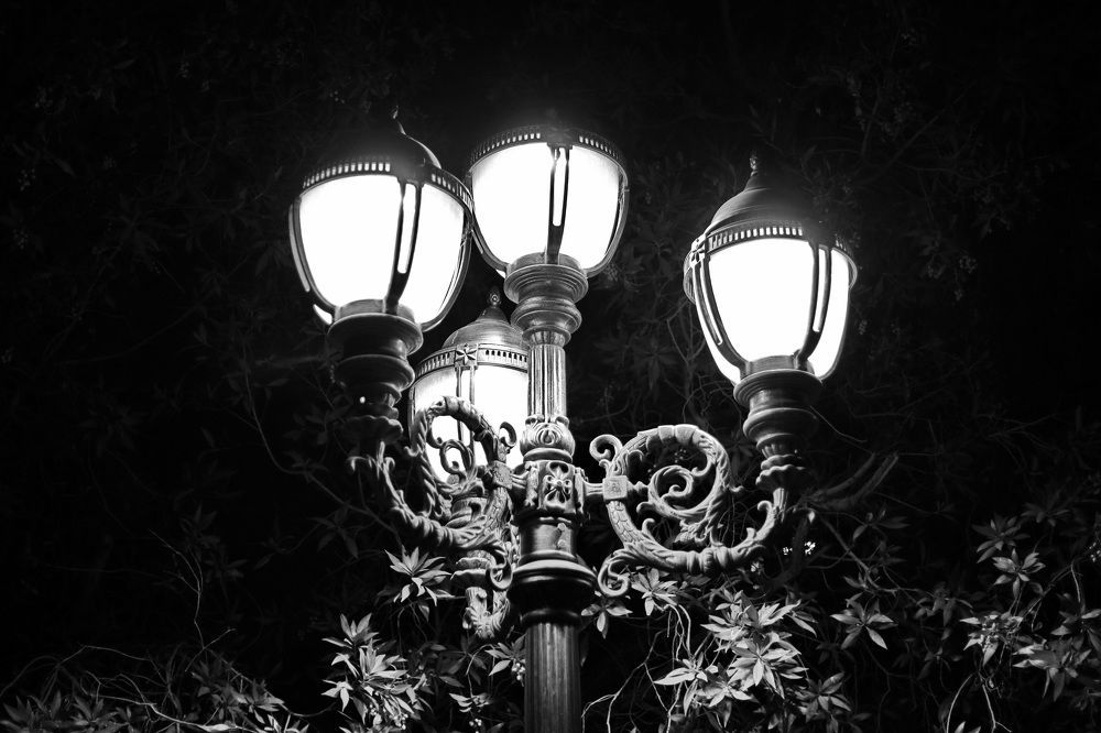 Photograph by Shukurjon Isamukhamedov