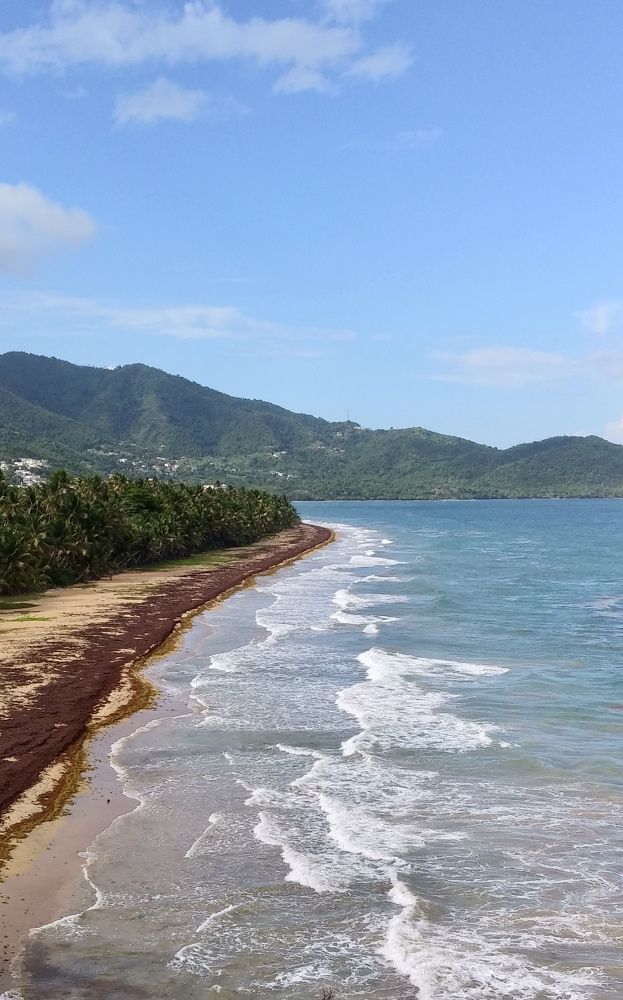 Фотография автора Jose Otero