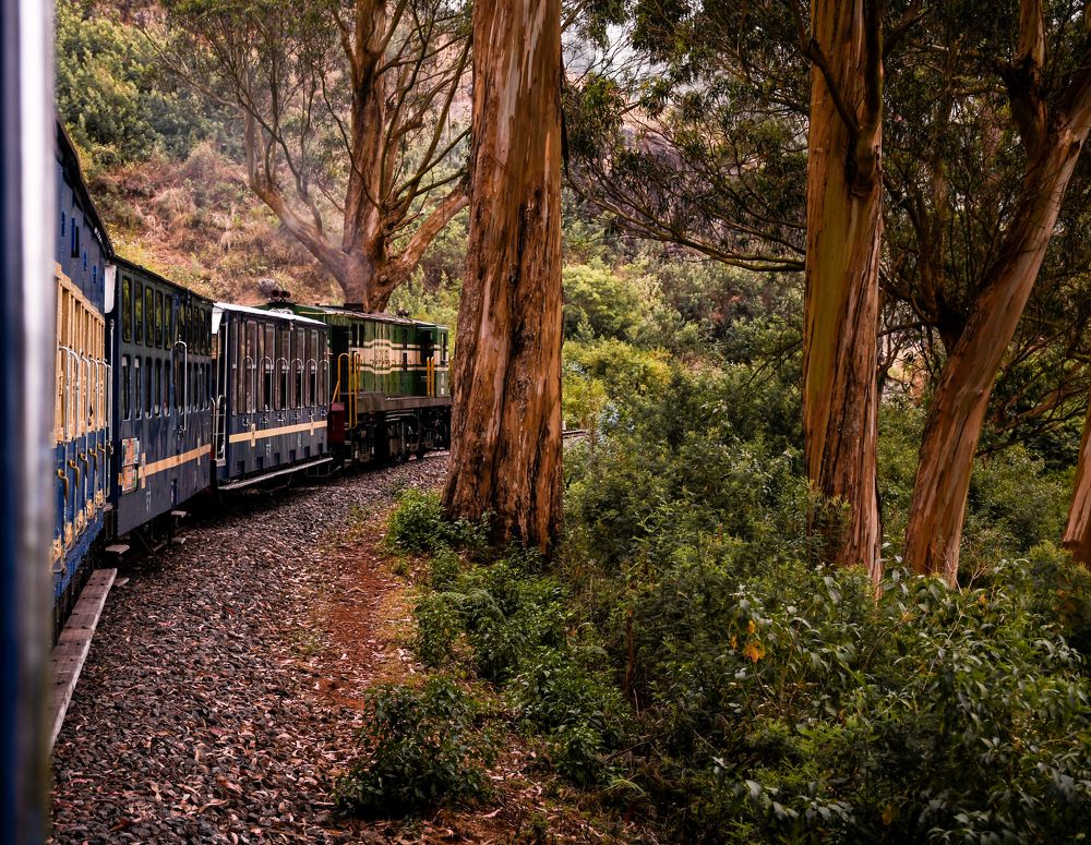 Photograph by Sourav Ghosh