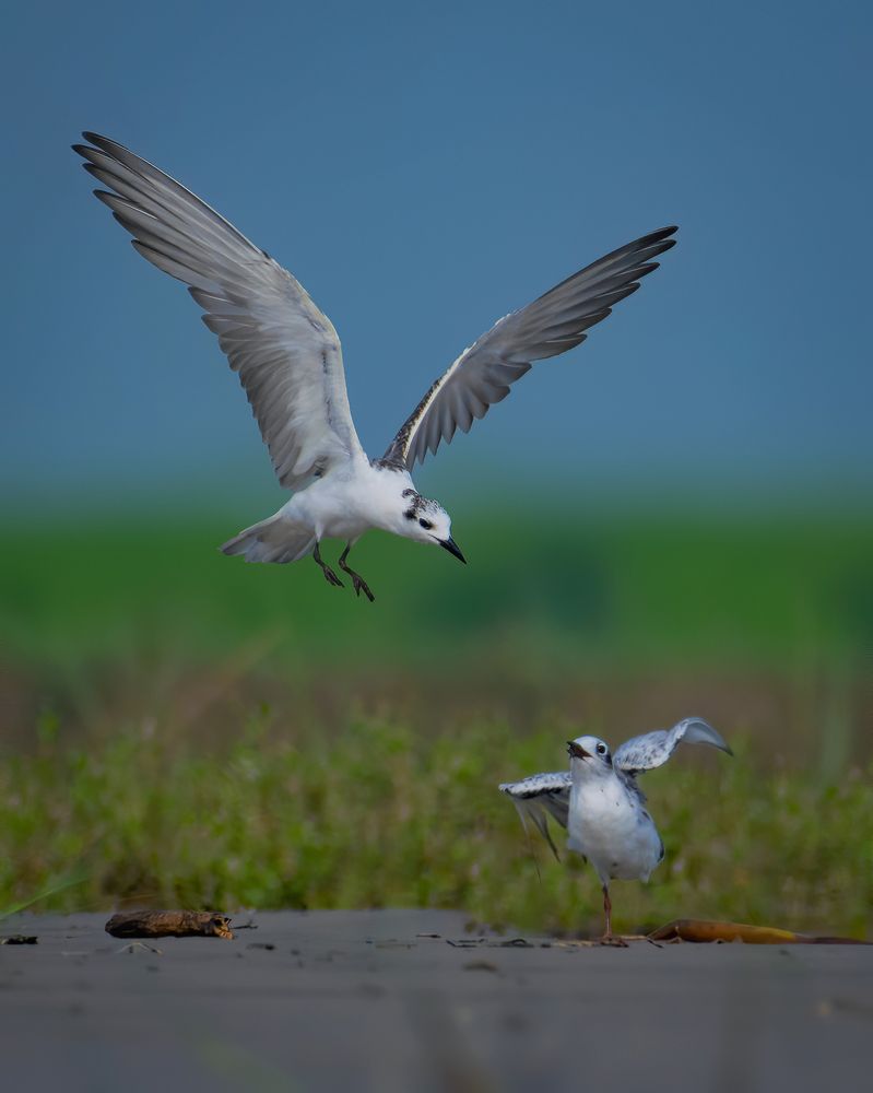 Photograph by Bayazid Ali