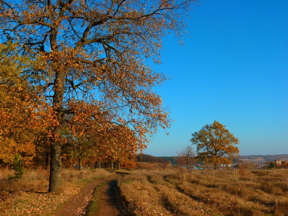 Photograph by Александр Кизим