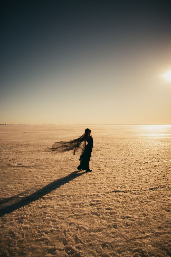 Photo #7458685