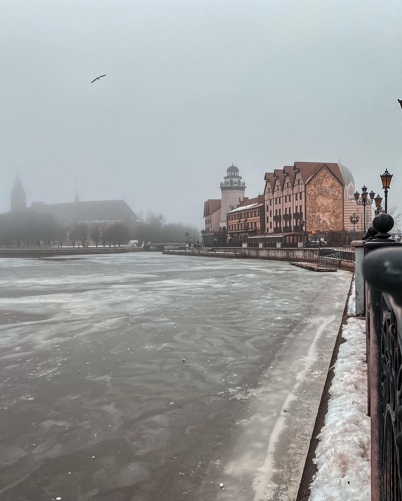 Photograph by Анжела Шибаева