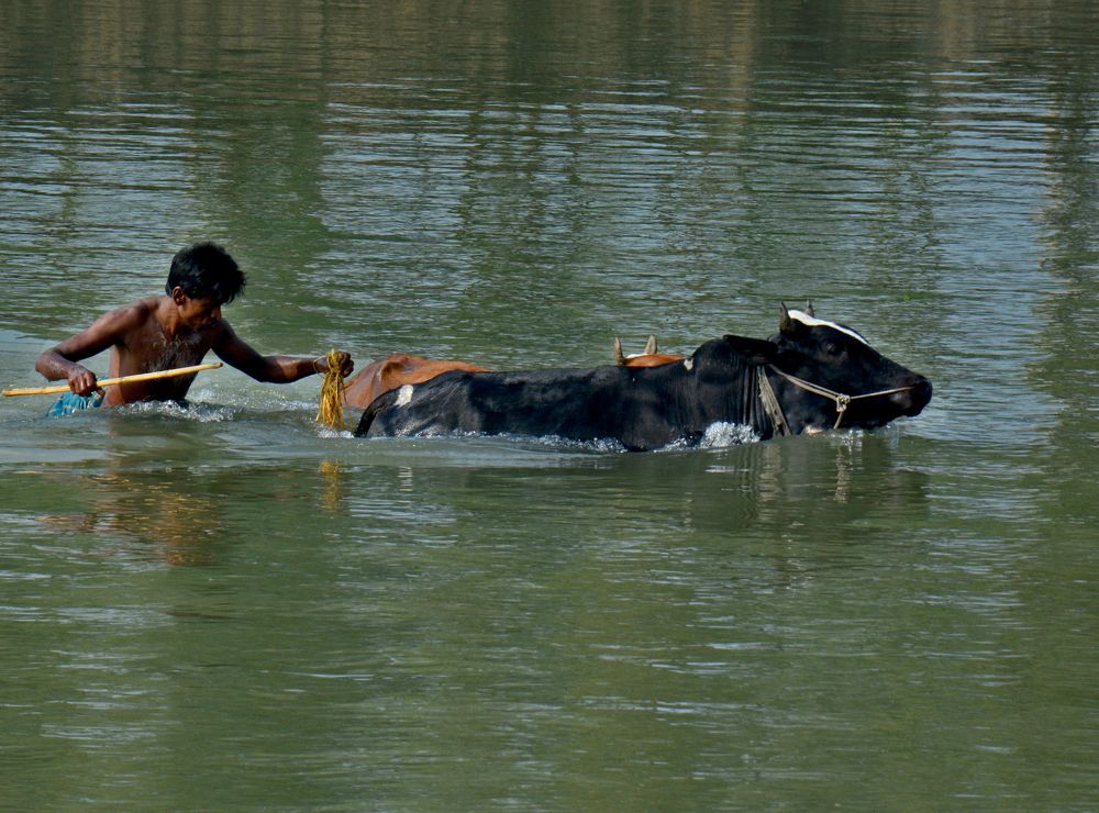 Photograph by Moshiur Moshiur rahman