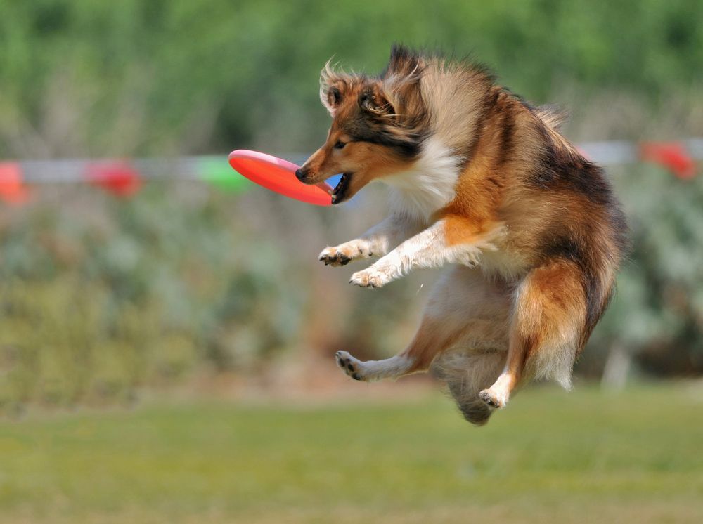 Photograph by Amit Erez