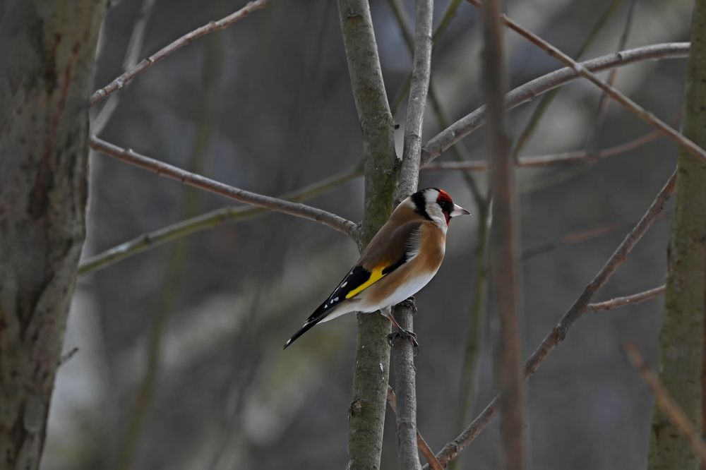 Photograph by Алексей Гордеев