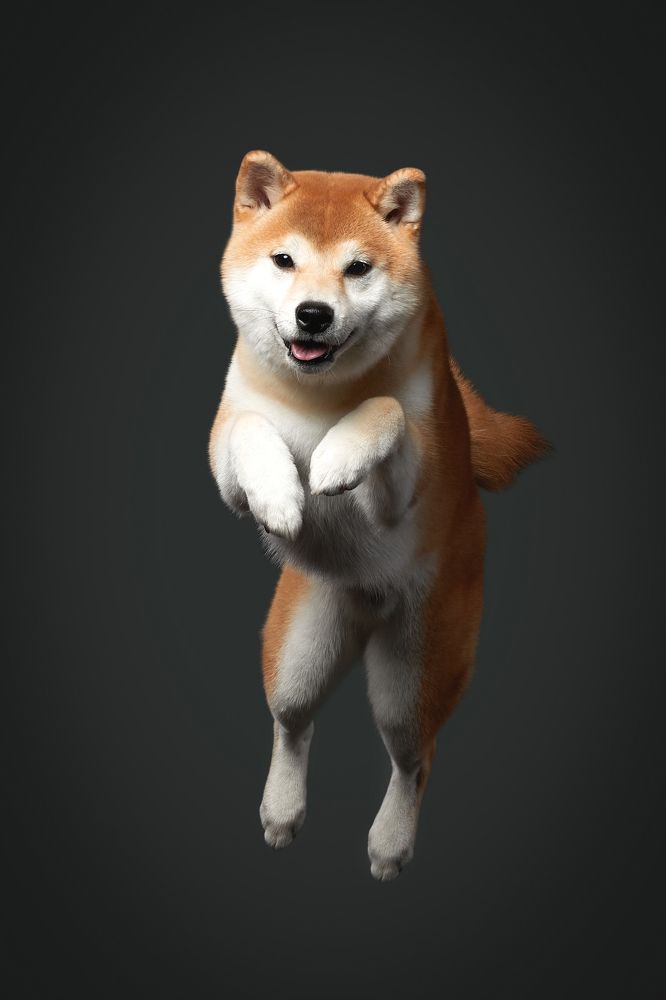 Photograph by Лана Полякова