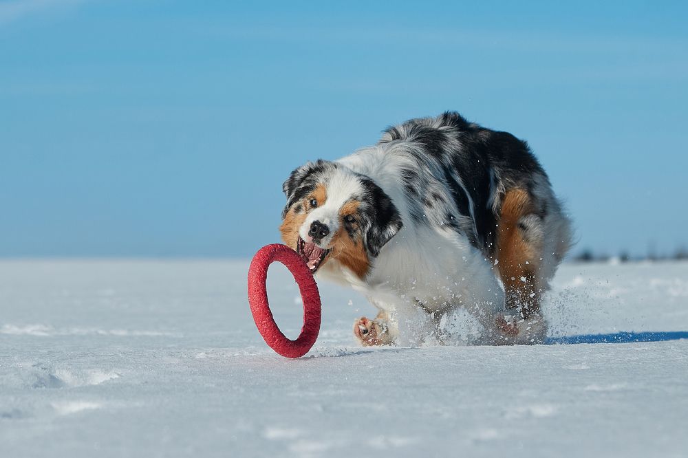 Photograph by Лана Полякова