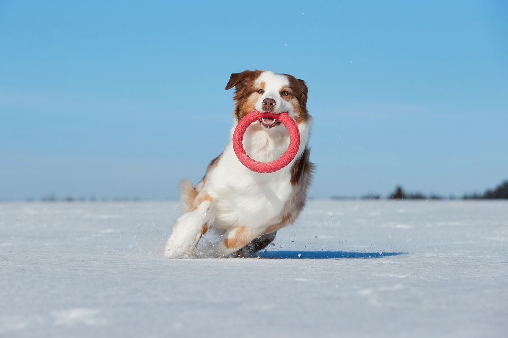 Photograph by Лана Полякова