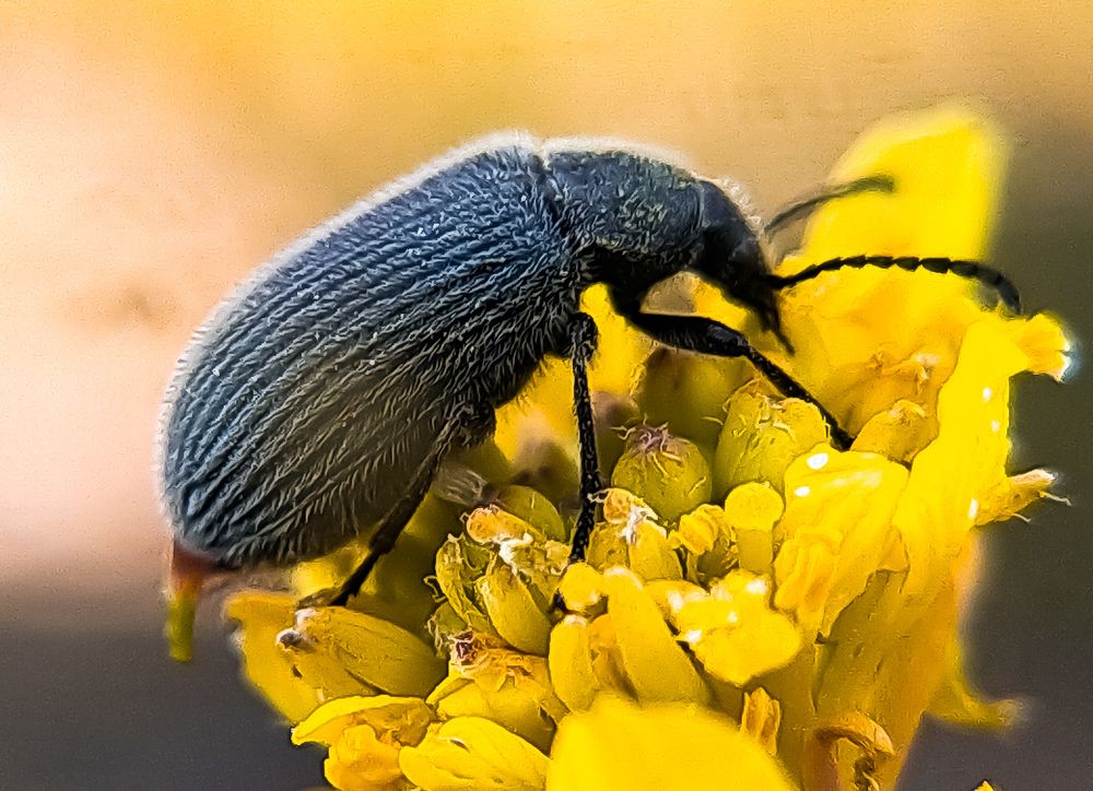 Photograph by Anass Aouissi