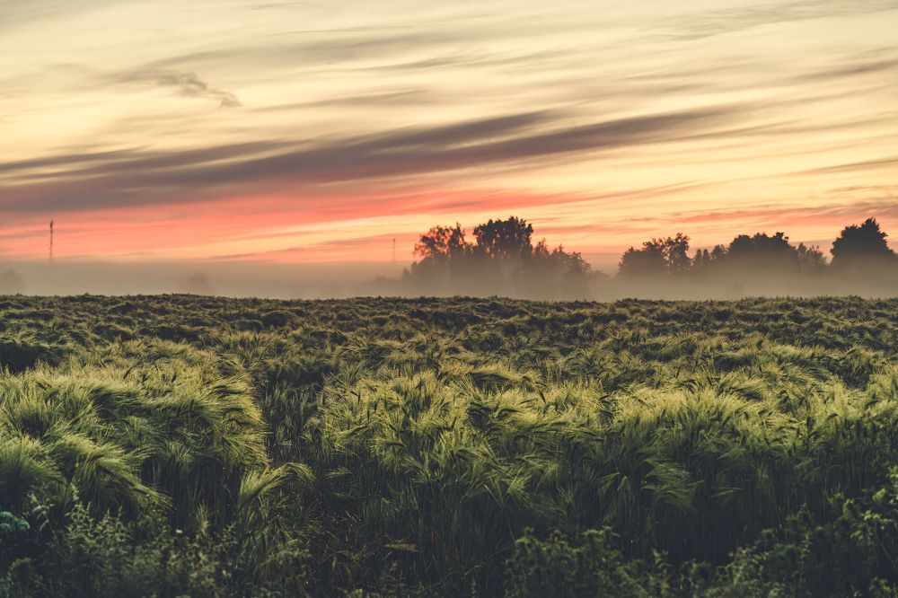 Photograph by Игорь Русинов