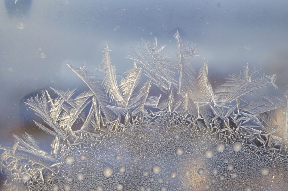 Photograph by Johan Sethsen