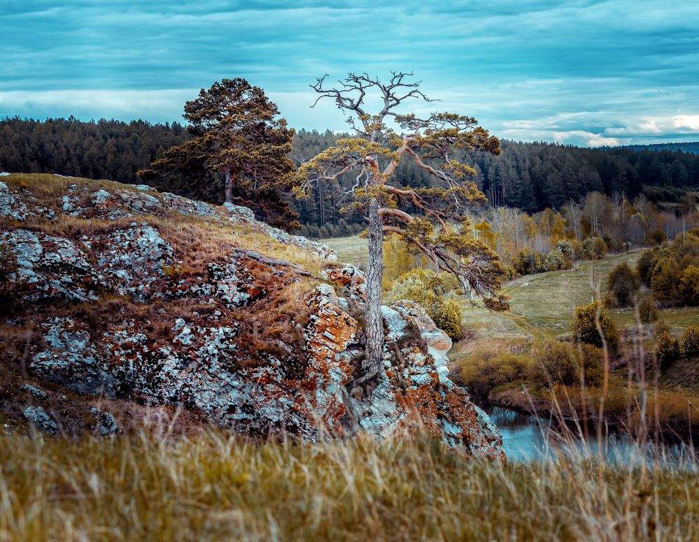 Фотография автора Михаил Бове