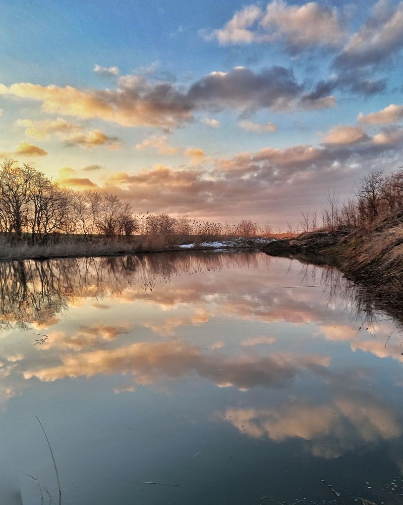 Фотография автора Татьяна Долгушева