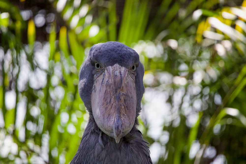 Photograph by Masaomi  Gozu