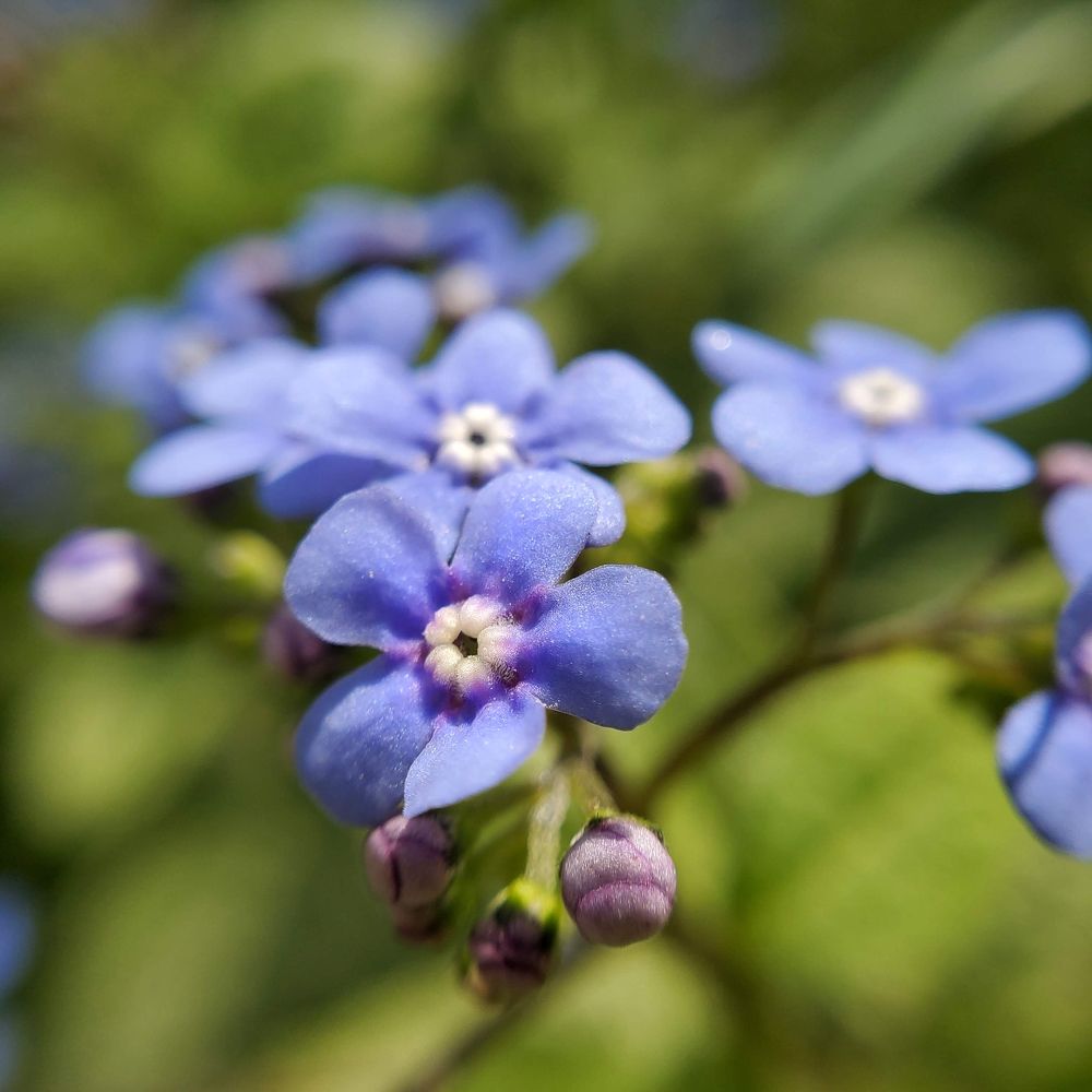 Photograph by Евгения Алексеева