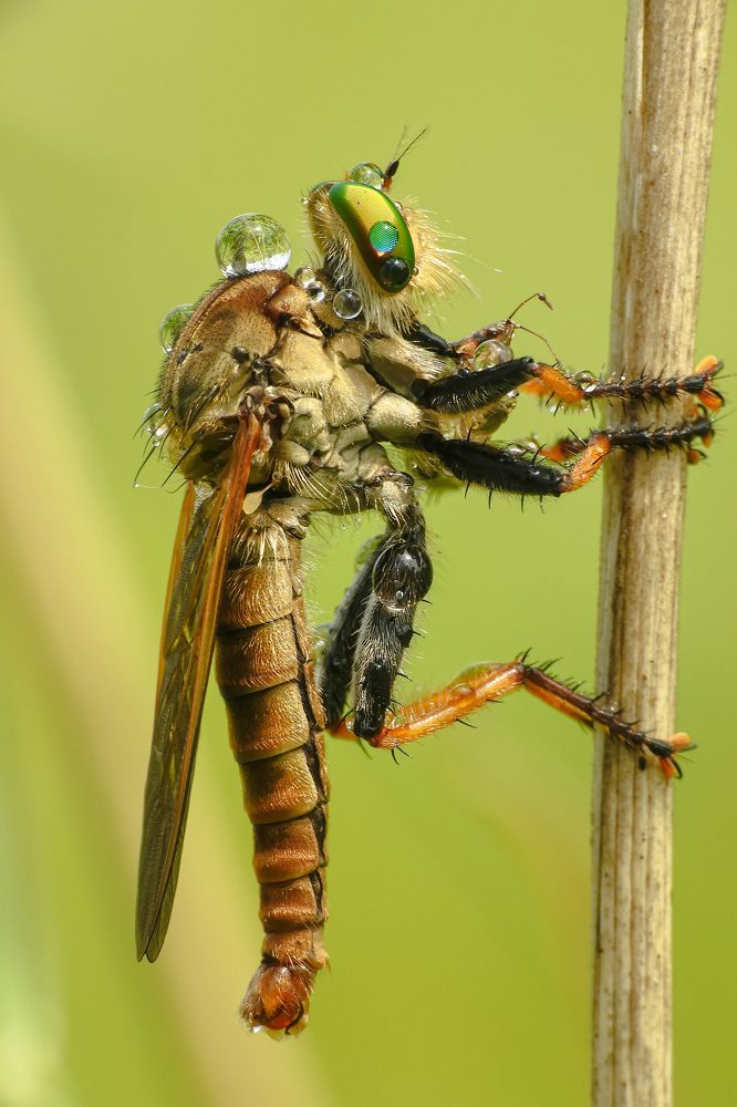 Photograph by Tavip Tavip Budiono Hadisoeprapto