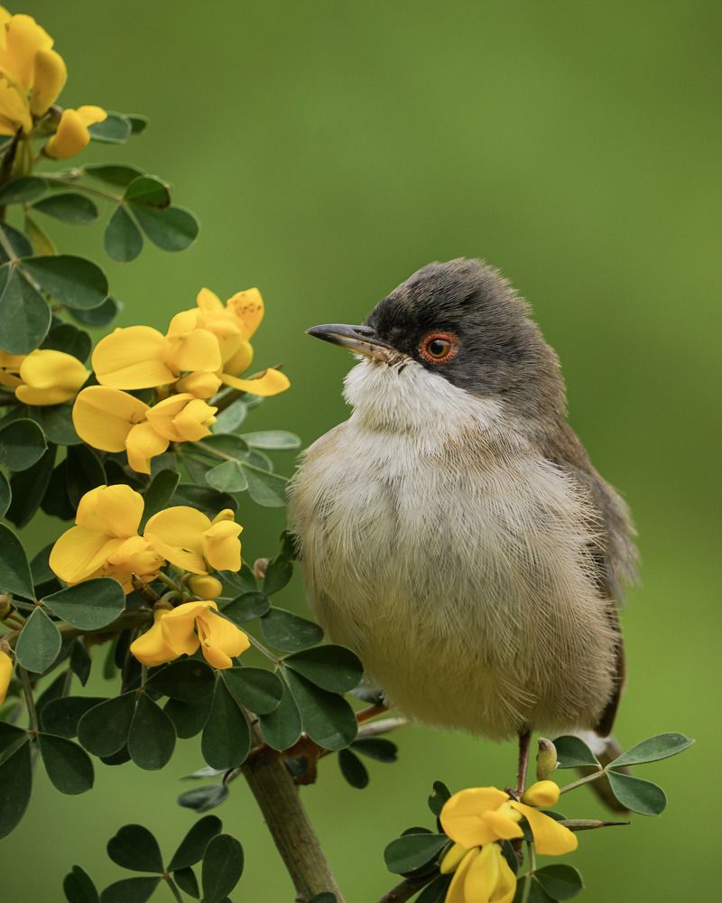 Photograph by Houmam Khelili