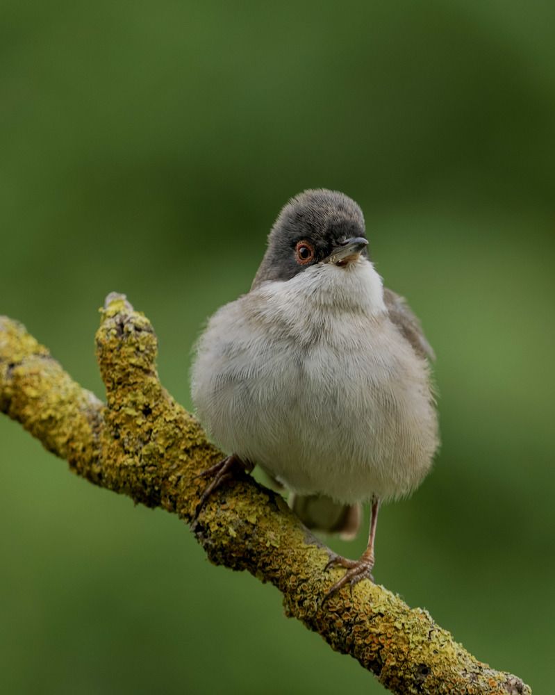 Photograph by Houmam Khelili