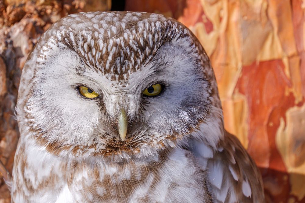 Photograph by Виталий Бодрягин