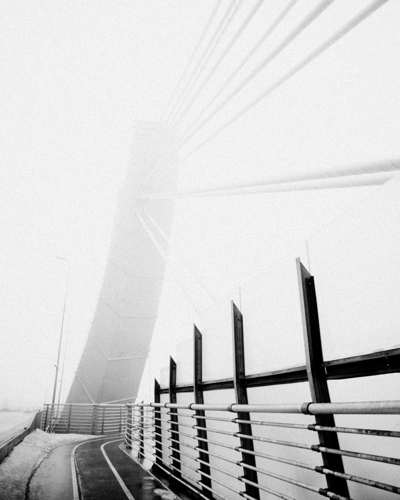 Photograph by Liza Giorria