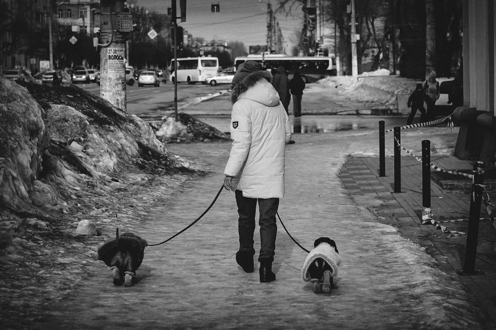 Photograph by Александр Кулаков