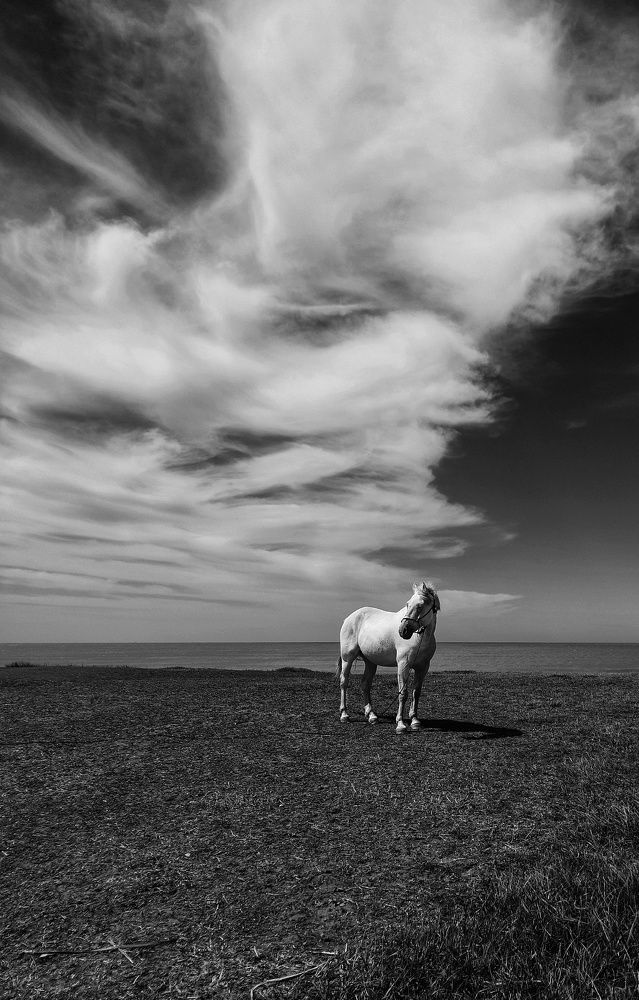 Photograph by Roberto Hagemann