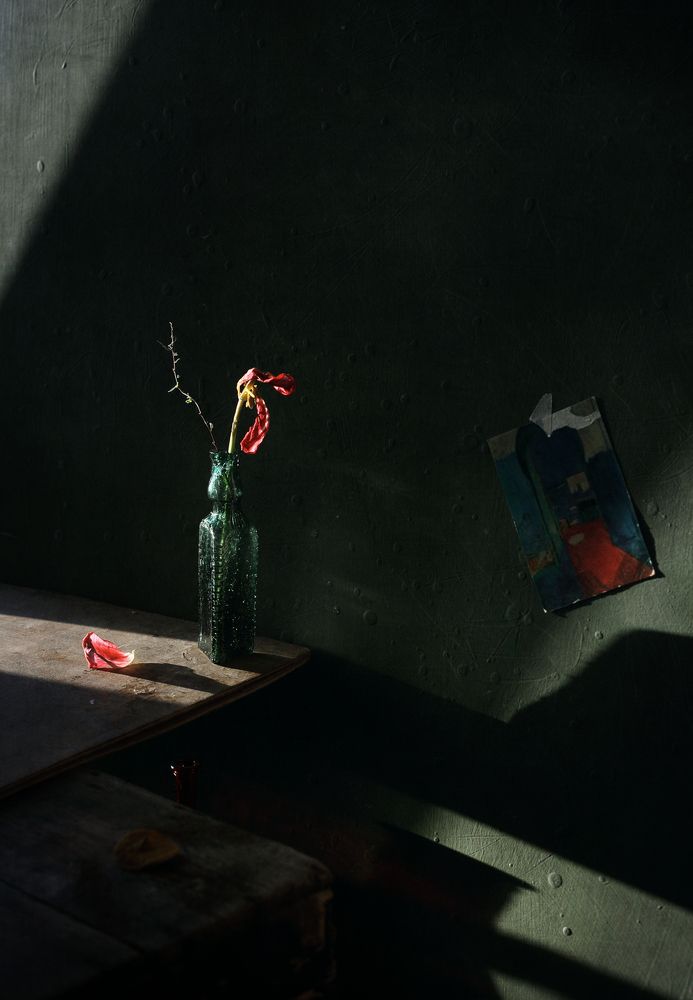 Photograph by Мария Сапего