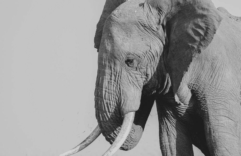 Фотография автора Sajeev Krishnan