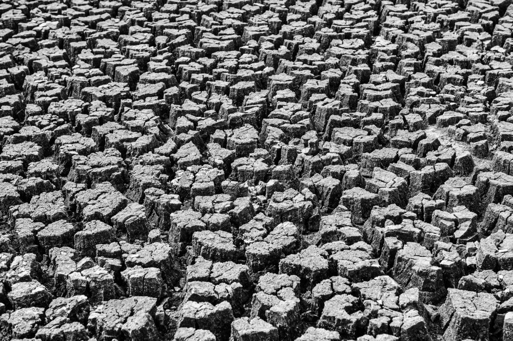 Фотография автора Sajeev Krishnan