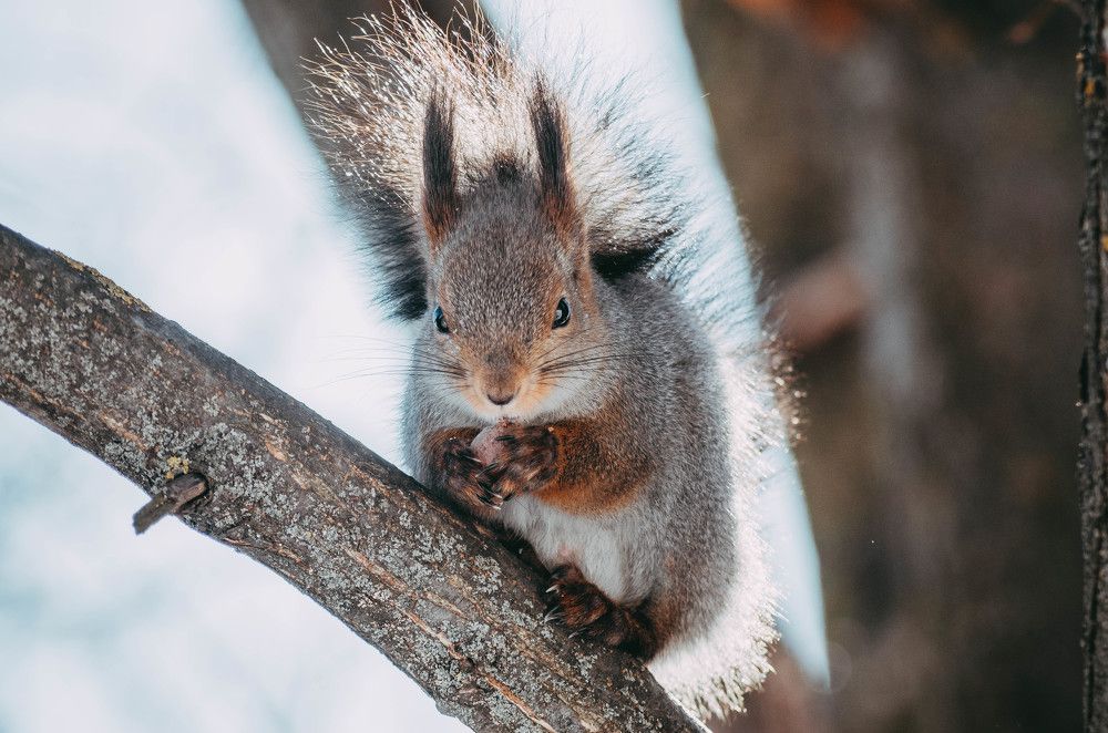 Photograph by Елена Гребнева