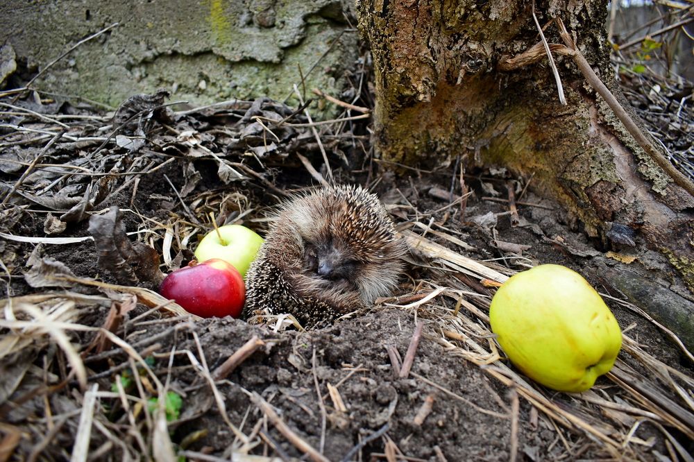Photograph by Валерий Талейко