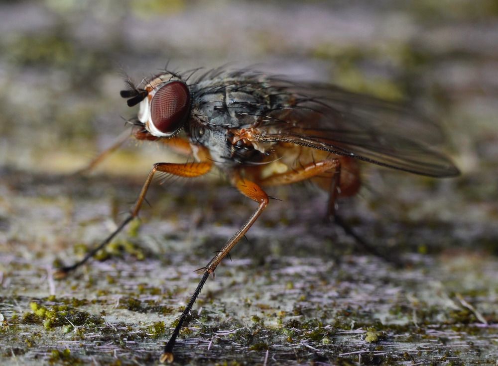 Photograph by Дмитрий