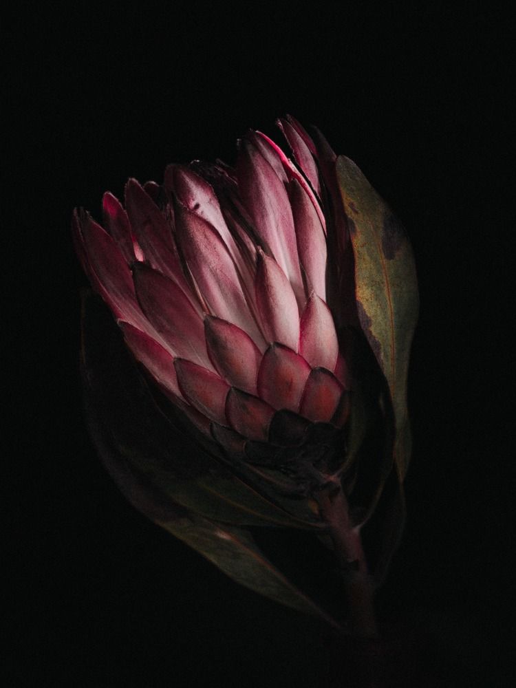 Photograph by Ксения Лаевская