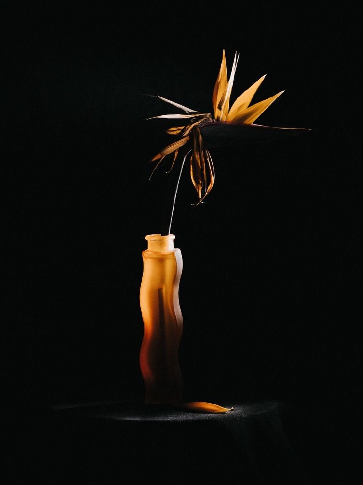 Photograph by Ксения Лаевская