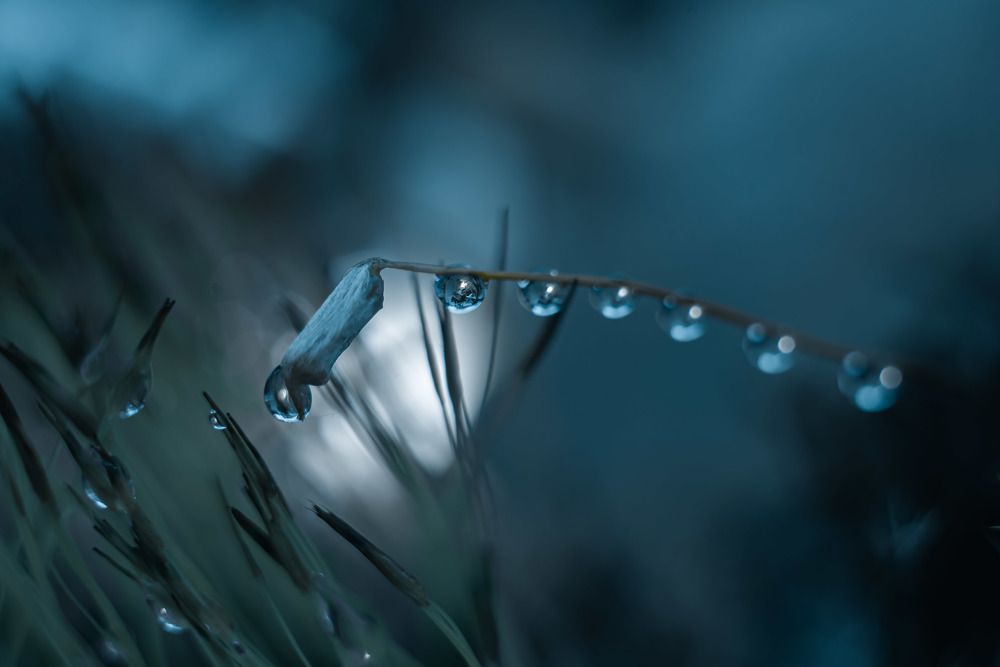 Photograph by Анна Бобкова