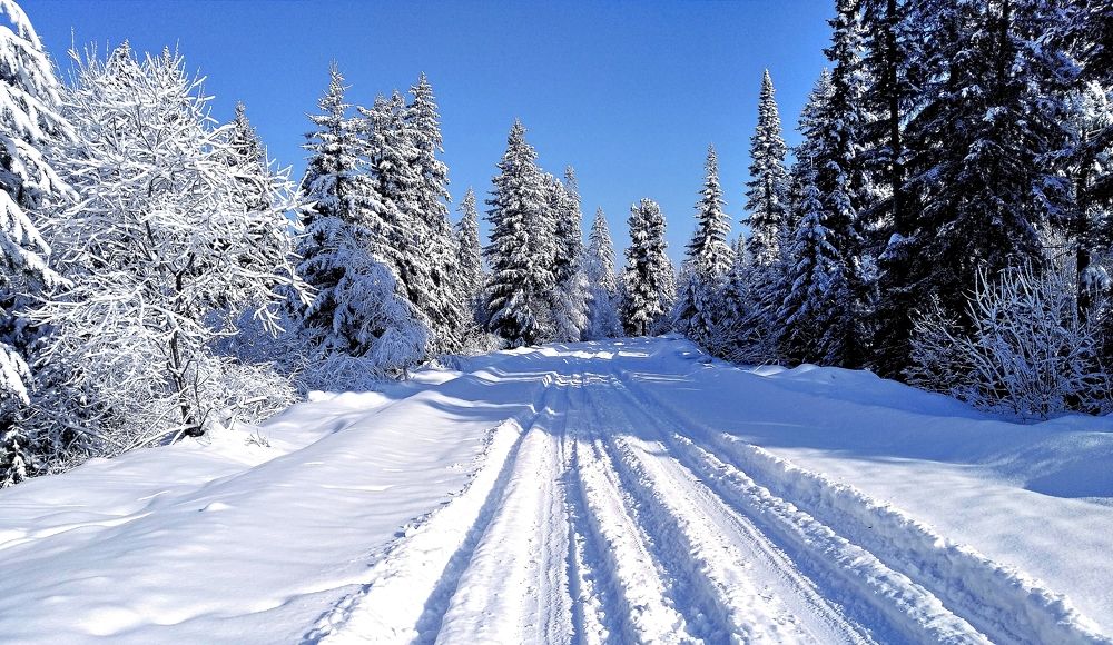 Photograph by Анатолий Майдуров