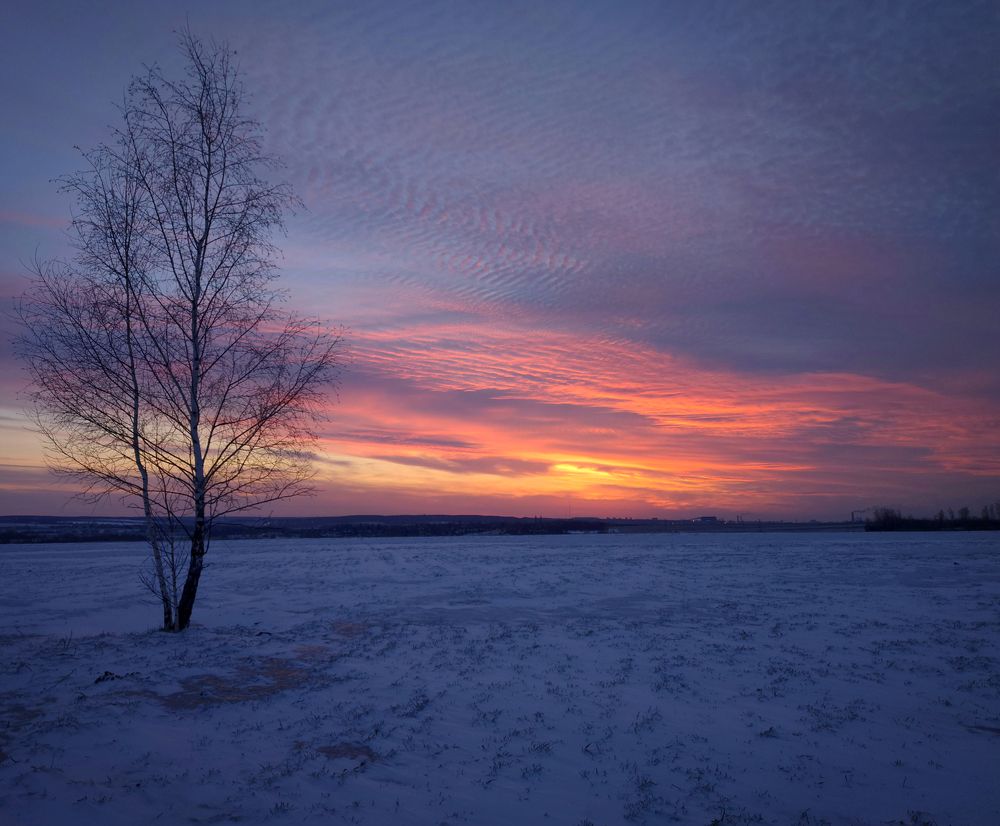 Весенним вечером.