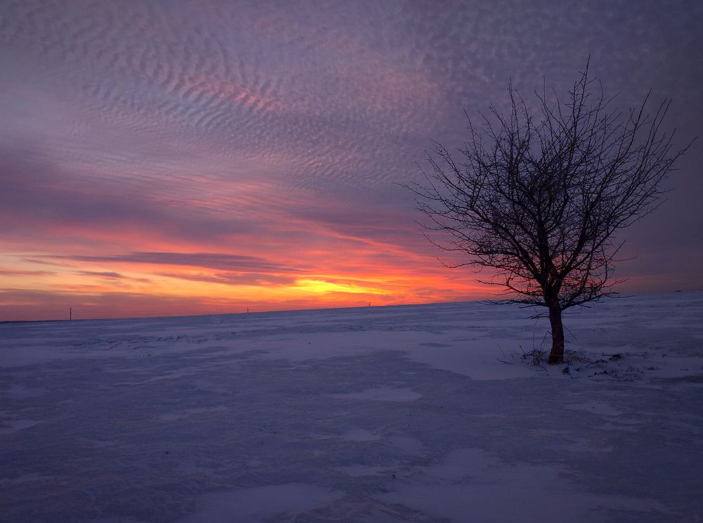 Весенний закат за городом.